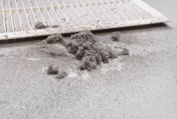  Virginia, MN Airduct Cleaning Pros