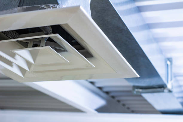 Best Air Vent Cleaning Services  in Virginia, MN