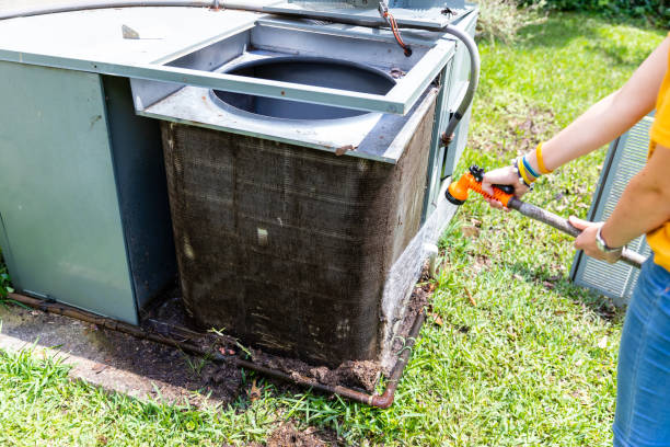 Best Residential Air Duct Cleaning  in Virginia, MN